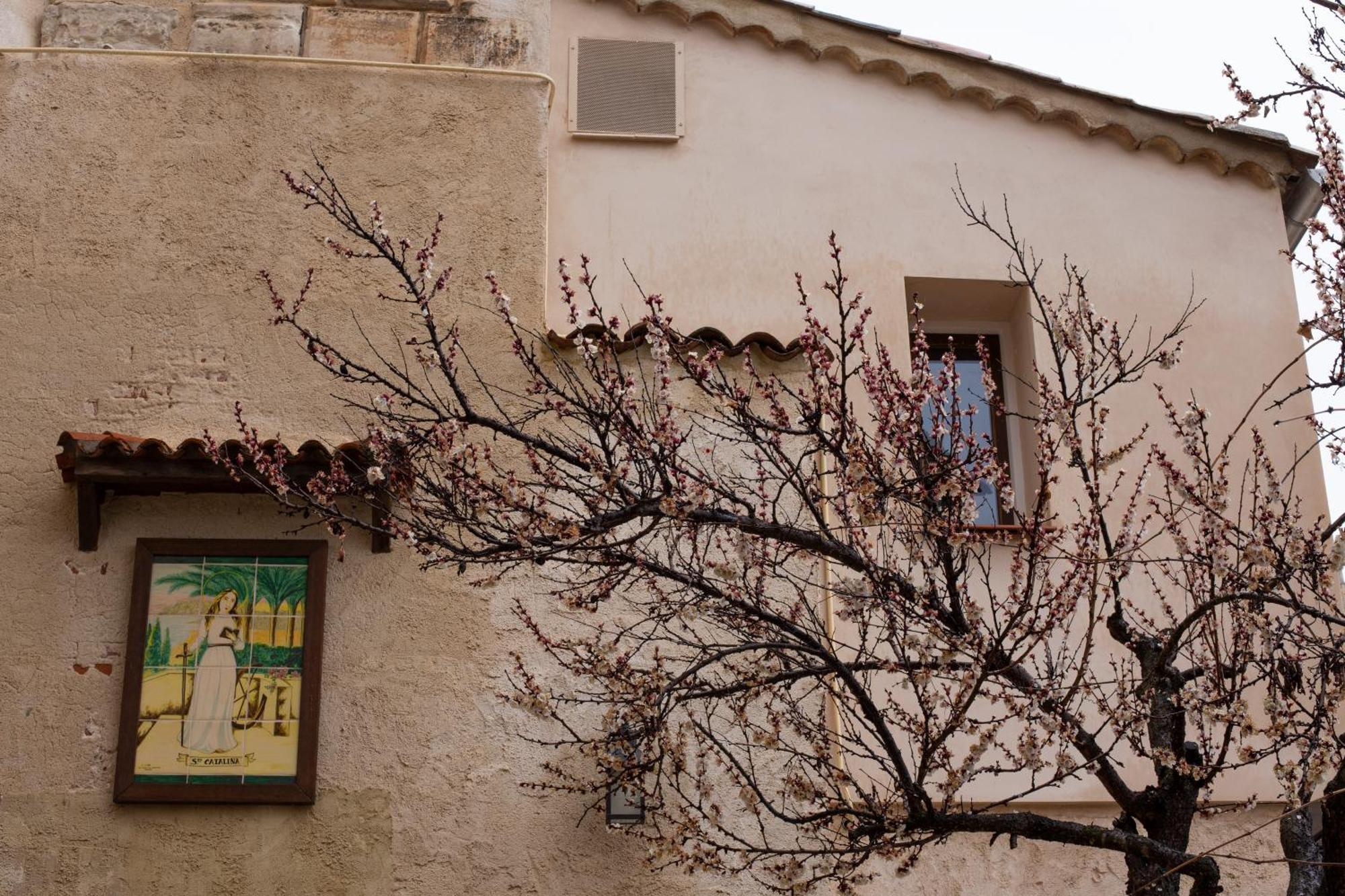 Huerto De Mateo Arana Villa Cuenca  Exteriör bild
